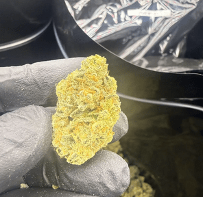 Hoka Haze (RCWM) - Cake Mix, 3.5 grams