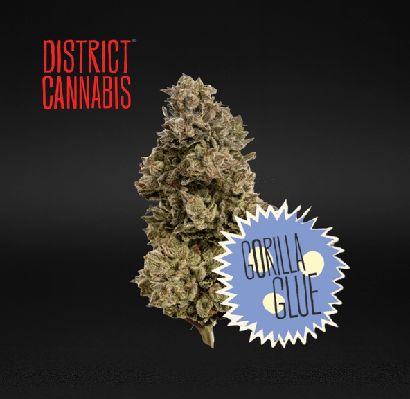 District Cannabis | Gorilla Glue #4 - Flower | 3.5g | Hybrid
