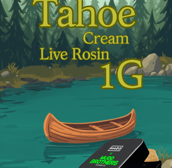 Badder: Tahoe Cream (Live Rosin) - Haze X Mudd Brothers - 1G