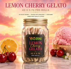 0.7g Pre-Roll: Lemon Cherry Gelato (I) 40 Pack JAR