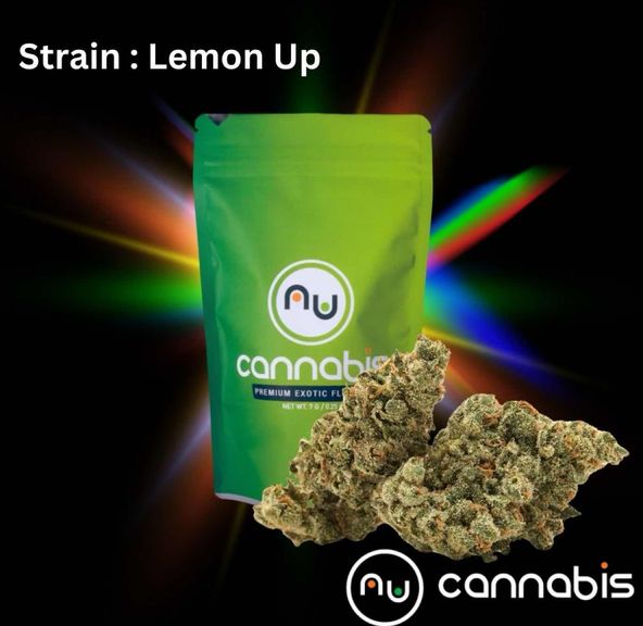 Lemon Up 14g - PREMIUM INDOOR FLOWERS