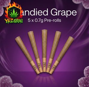 0.7g Pre-Roll: Candied Grape (H) 5 Pack