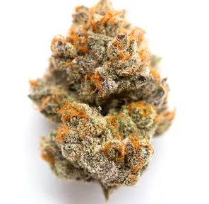 Flower-Frosted Drip Bulk