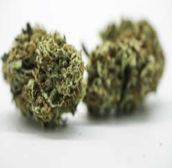 Flying Tiger Farms: Mimosa (taxes included)