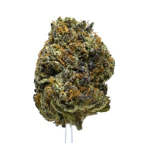 Blue Lemon Cherry Gelato | NEW!