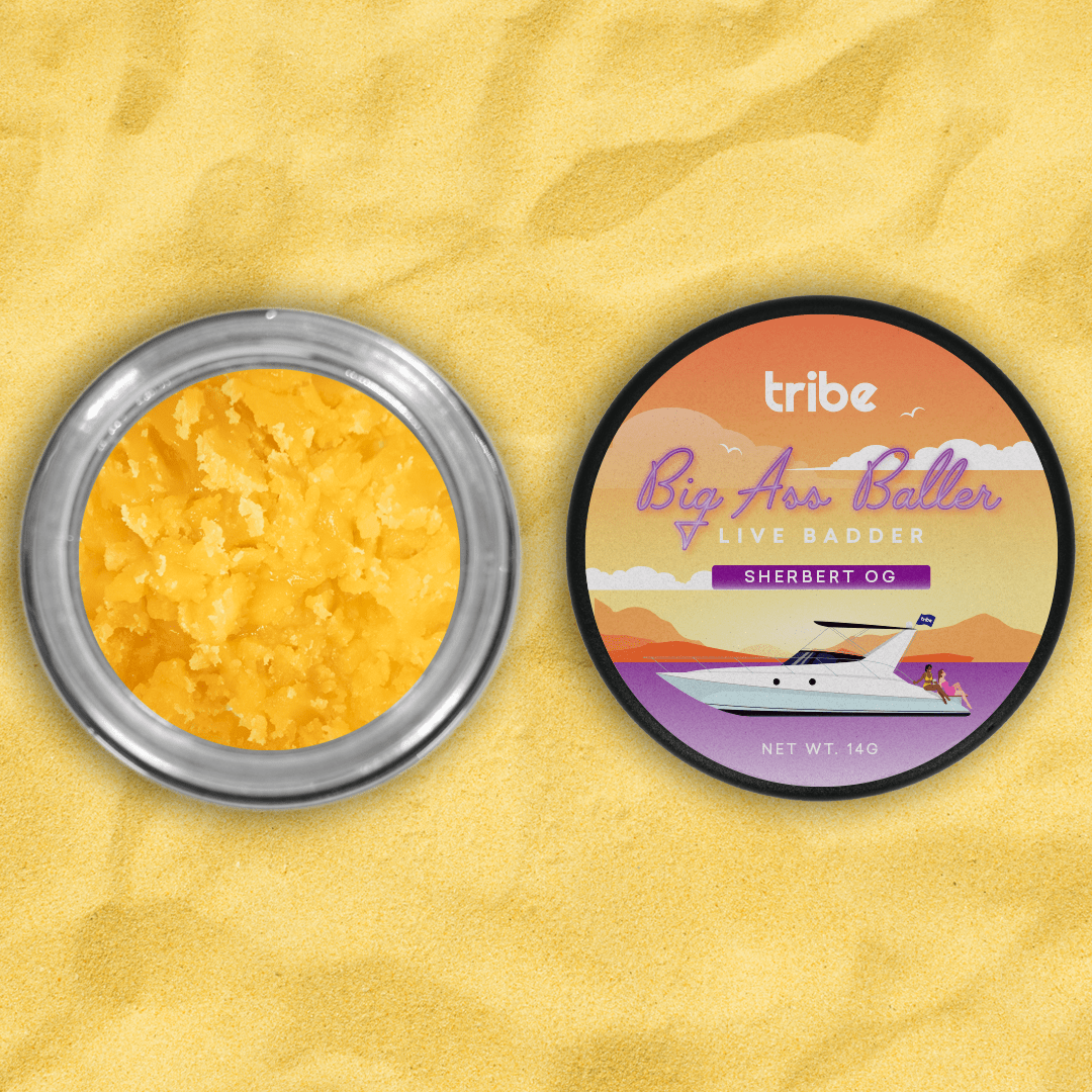 TRIBE SHERBERT OG LIVE BADDER BALLER JAR 14G