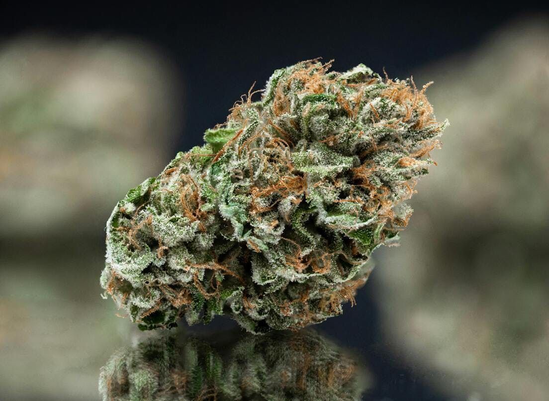 Nameless Genetics - Black Cherry 3.5g