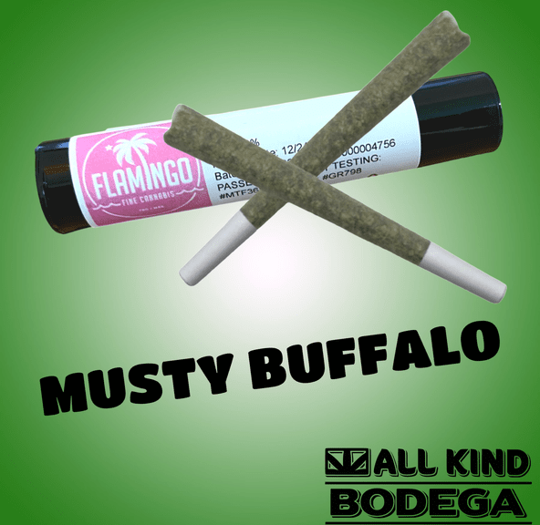 Musty Buffalo .5g Preroll 2 Pack (total weight 1g) (@flamingomaine)