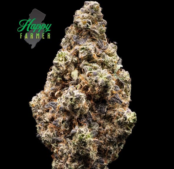 The Happy Farmer | Cinnabonz | 3.5g Flower