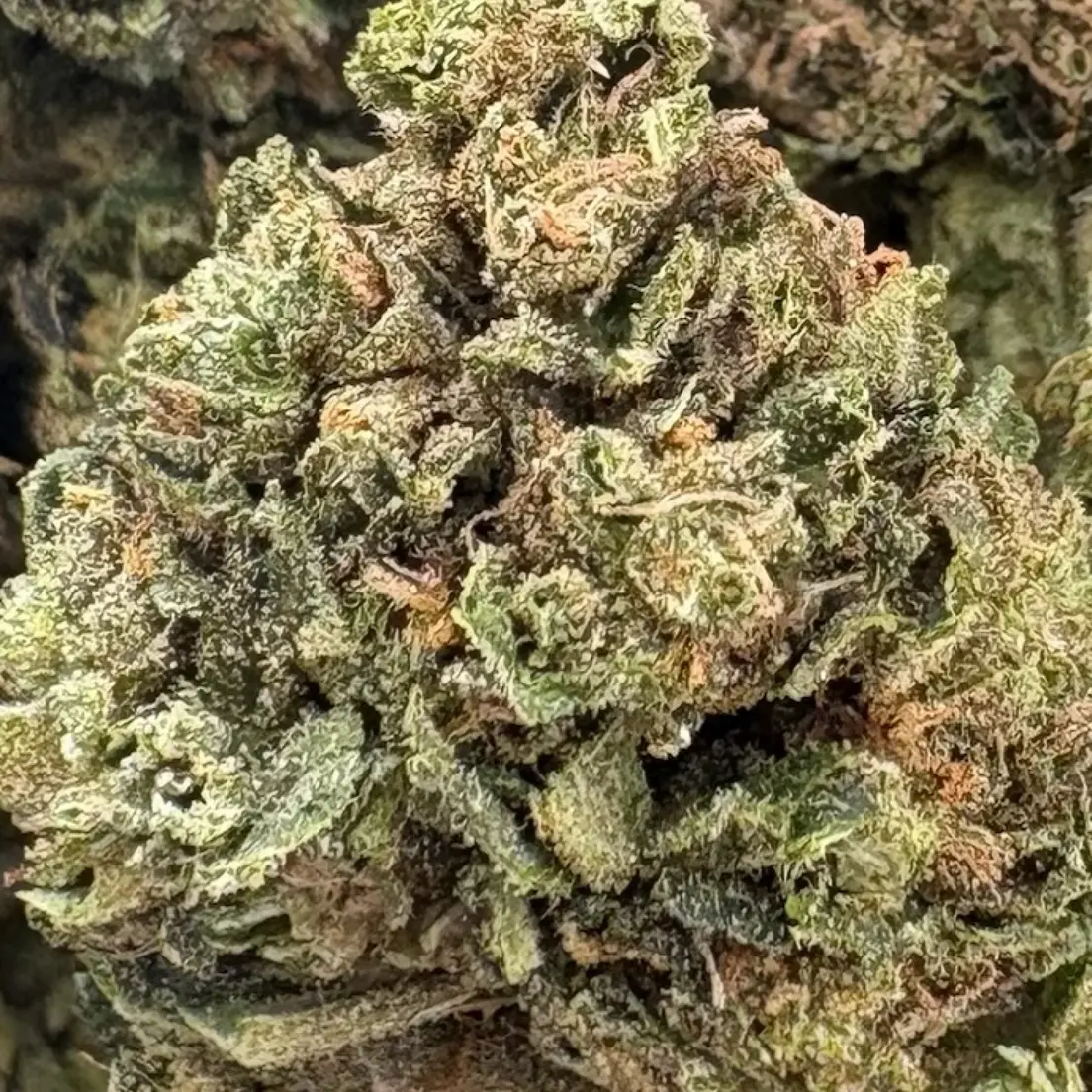 28G - BLUEBERRY OCTANE (AAA)