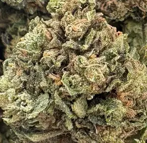 28G - BLUEBERRY OCTANE (AAA)