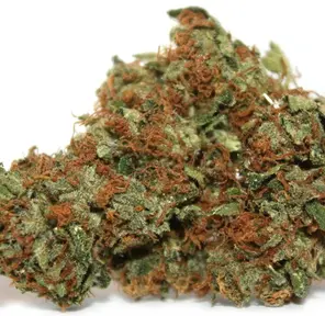 Chem Dawg