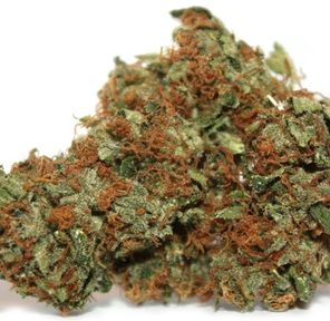 Chem Dawg