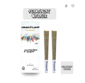 Permanent Marker Dual