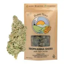 Burr's Place 28g Tropicana Shoes $80