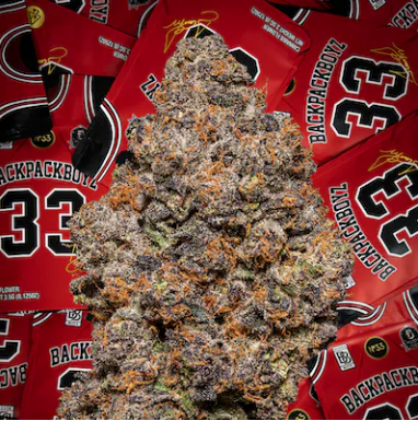 Backpack Boyz-Scottie Pippen Indoor Flower 3.5g