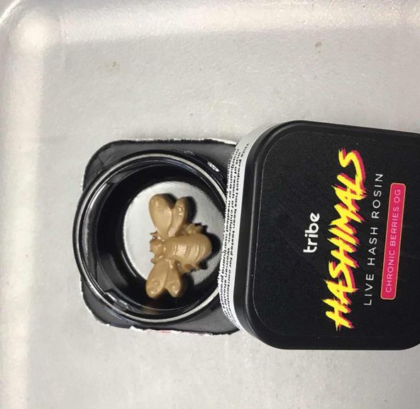 Bumble Bee Chronic Berries OG Hashimals Live Hash Rosin 1g