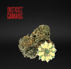 District Cannabis | Banana Açaí Mints - Flower | 3.5g | Hybrid