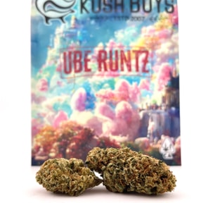 Kush Boys - Ube Runtz - 3.5 g