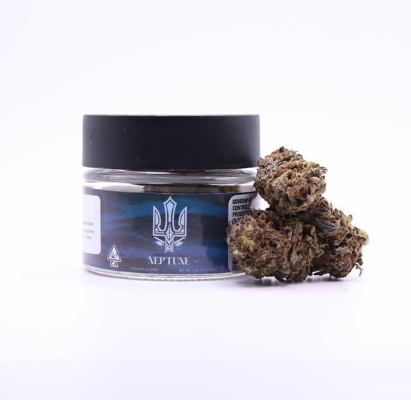 Neptune- GUSH MINTZ 3.5g