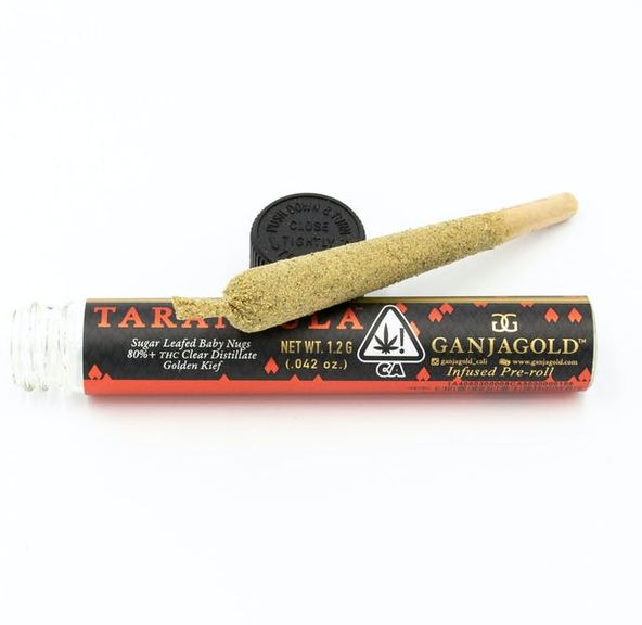 GANJA GOLD - 1.2G PREROLL - RED TARANTULA - HYBRID