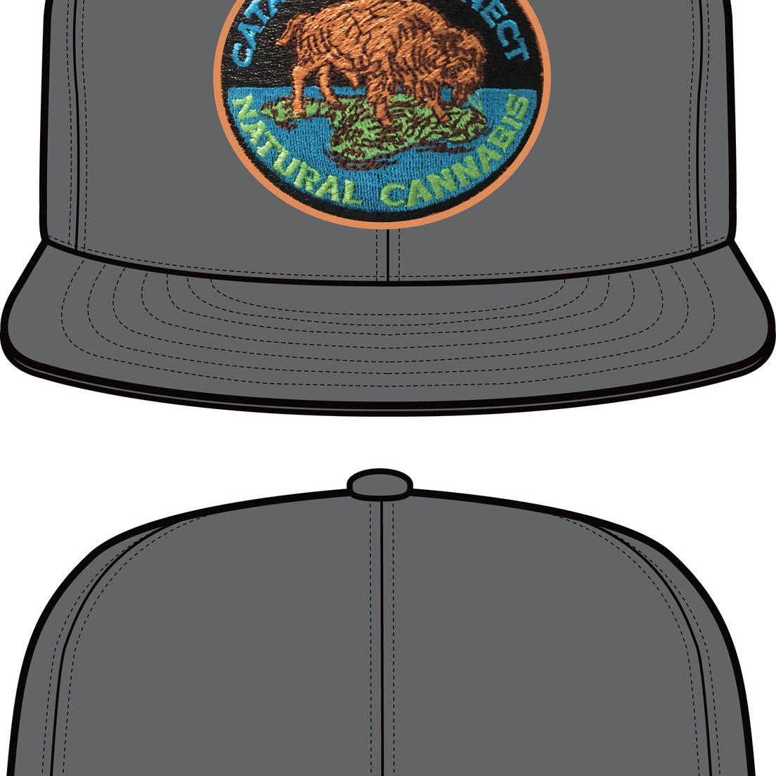 Catalina Connect: Hat - Grey, Original Snapback