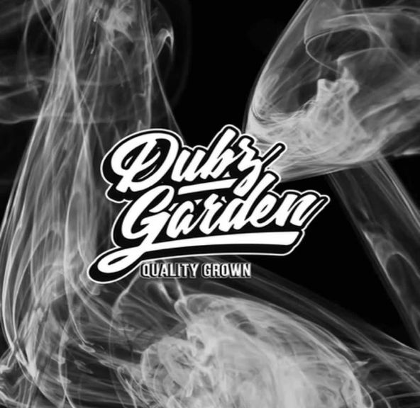 Dubz Garden - Ponzu 3PK - INFUSED PRE ROLL