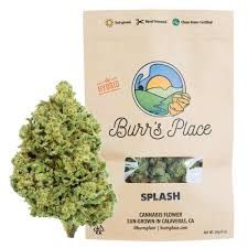 Burr's Place 28g Splash $80