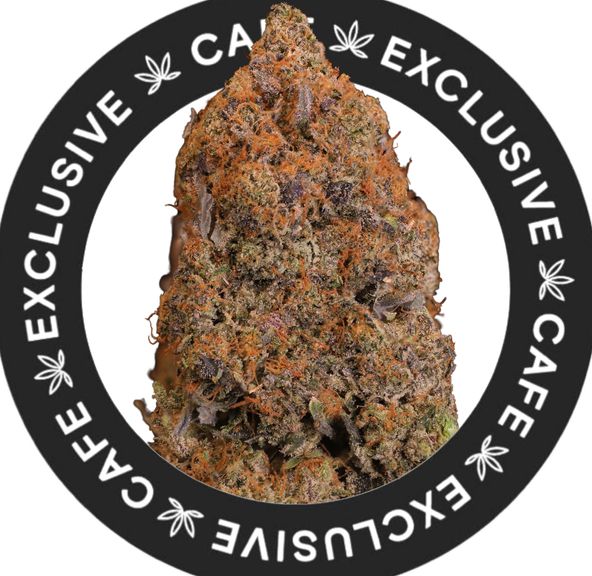7G CAFE EXCLUSIVES- PURE CANADIAN PINK KUSH