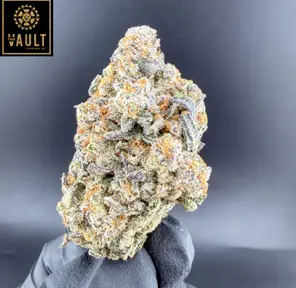 7G - AAAA+ DAIRY QUEEN