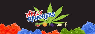 *Wally Ranchers 100mg Lozenge Drops - Grape