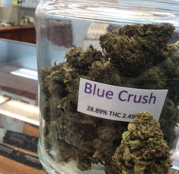 Blue Crush