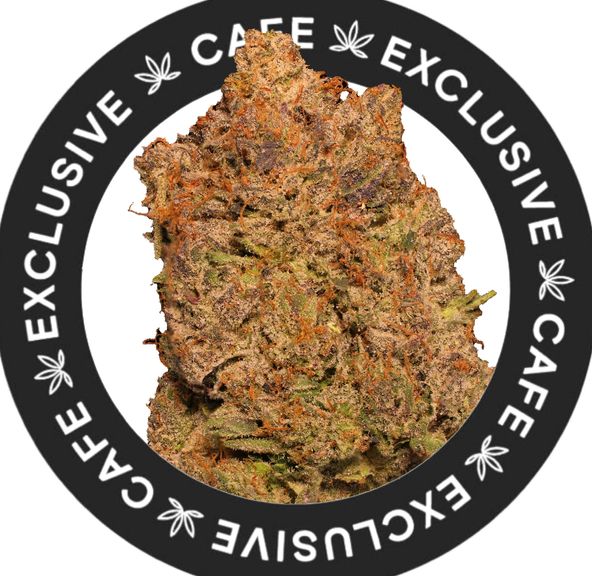 7G CAFE EXCLUSIVES- PINK DEATH