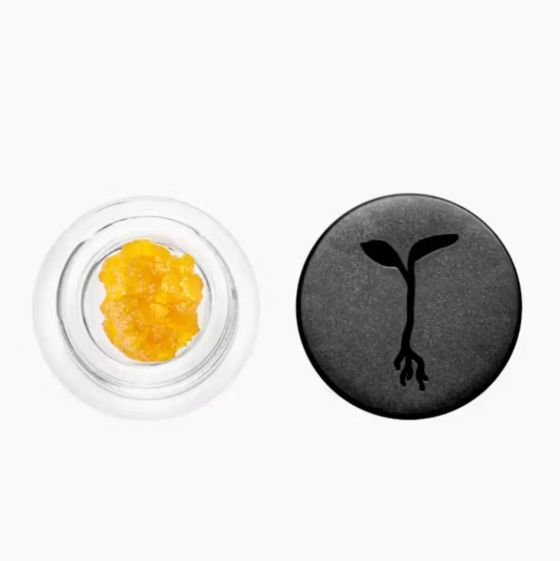 Lemon Soda Live Resin