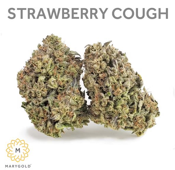 Marygold - Flower - Strawberry Cough - 14g