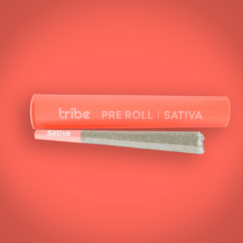 Banana Snow Cone - Preroll - Sativa