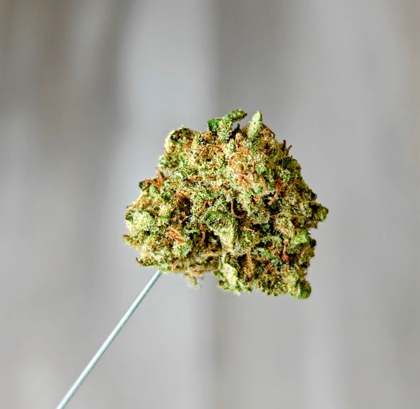 Super Sour Diesel
