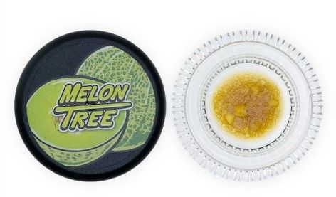 Lemon Tree - Melon Tree Living Diamonds 1g