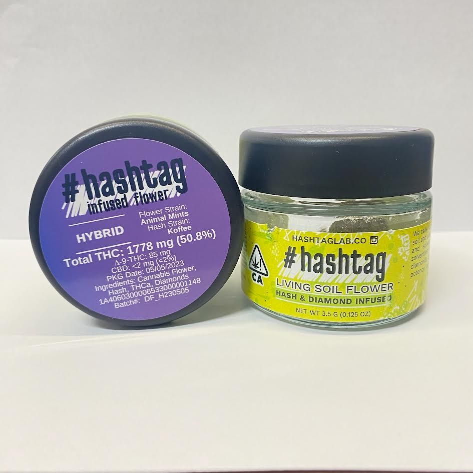 Hashtag - Gelato Hi Octane x Rainbow Sherbet - Hash & Diamond Infused Flower 3.5g