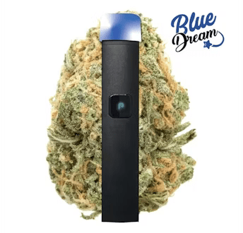 PLUGplay - PLUG JUST PLAY: Blue Dream 1g