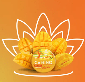 Camino 5:5 Mango Serenity CBD 'Balance' Gummies 72.00 g