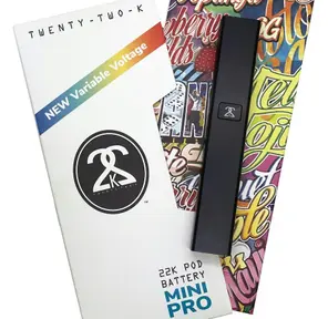 22K - Mini Pro Pod Battery
