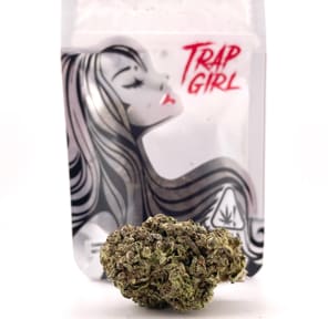 1/8 Candyland (26.24%/Sativa) - Trap Girl