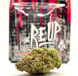 1/8 Lit OG (Indoor/30.5%/Hybrid) - The Re-Up