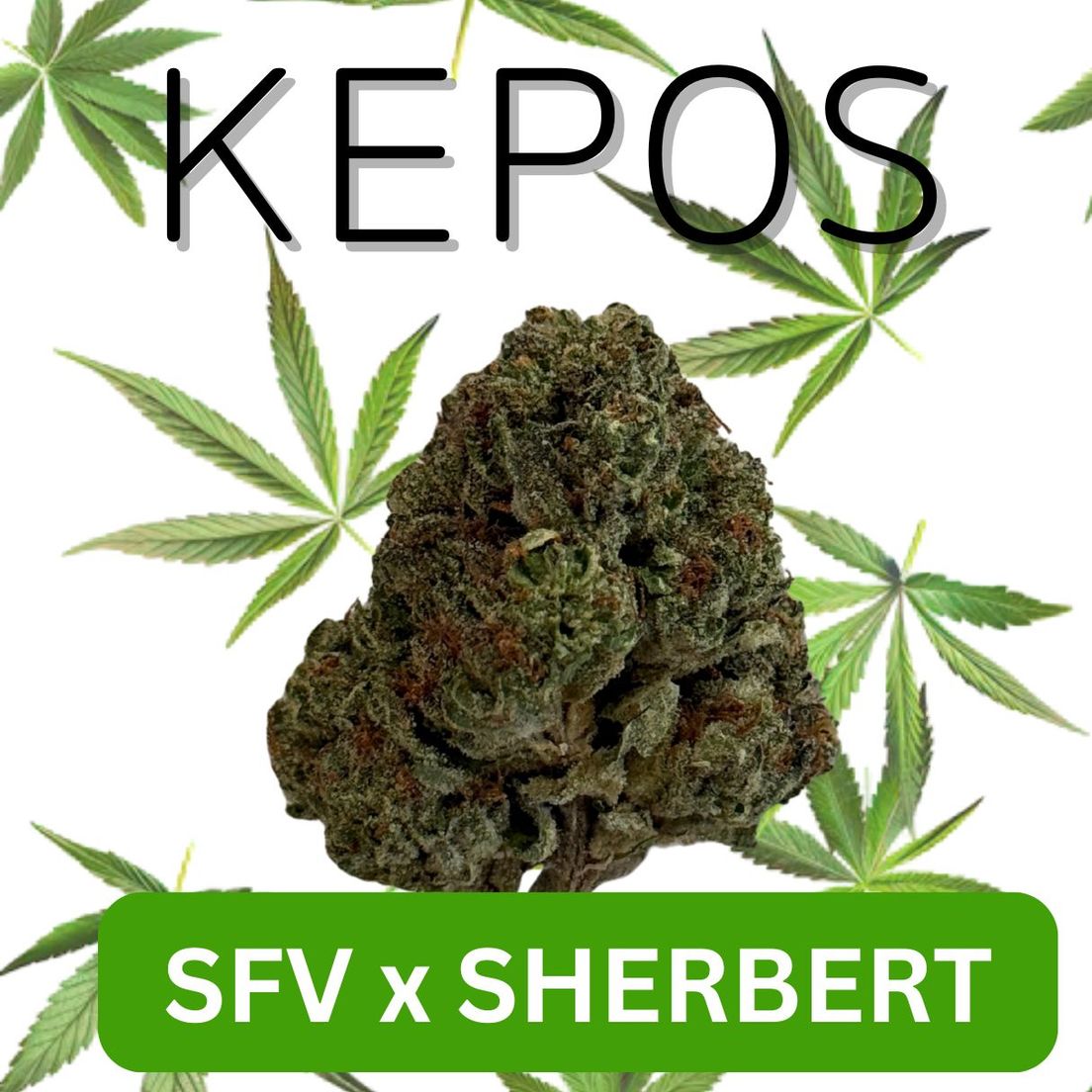Kepos - Sherbert x SFV 3.5g