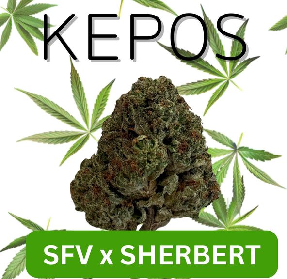 Kepos - Sherbert x SFV 3.5g