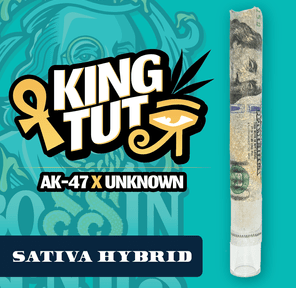 RR|Bossin Benji|King Tut