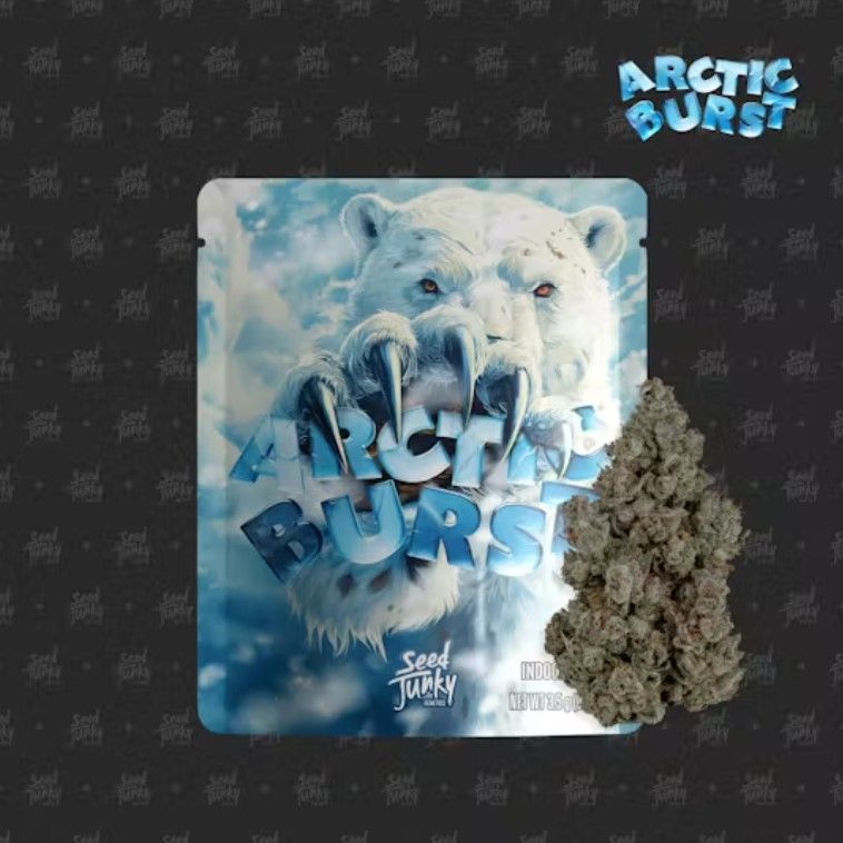 Arctic Burst