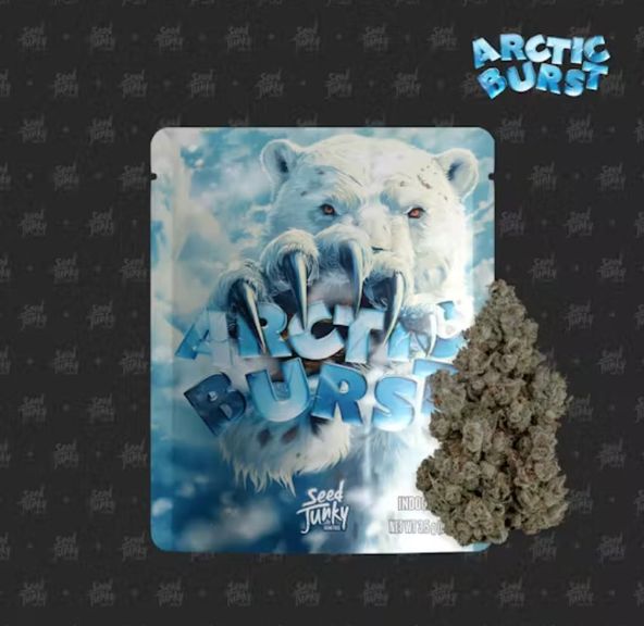 Arctic Burst