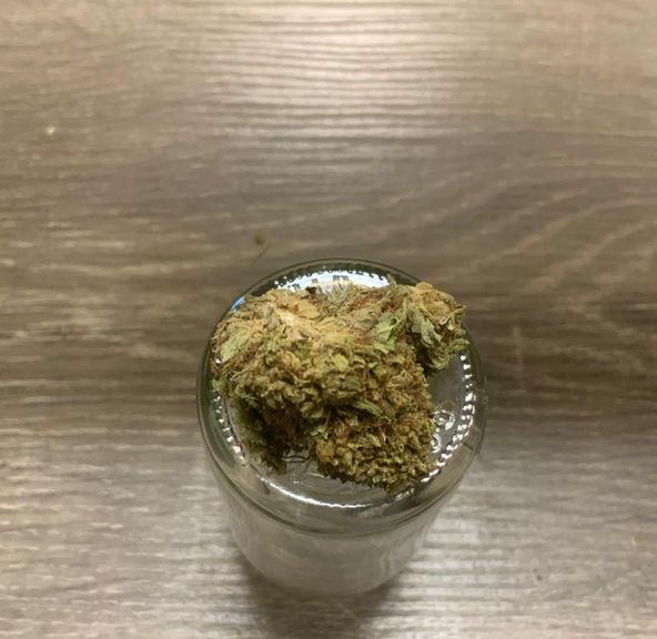 Acapulco Gold Flower by Cloverleaf Greens